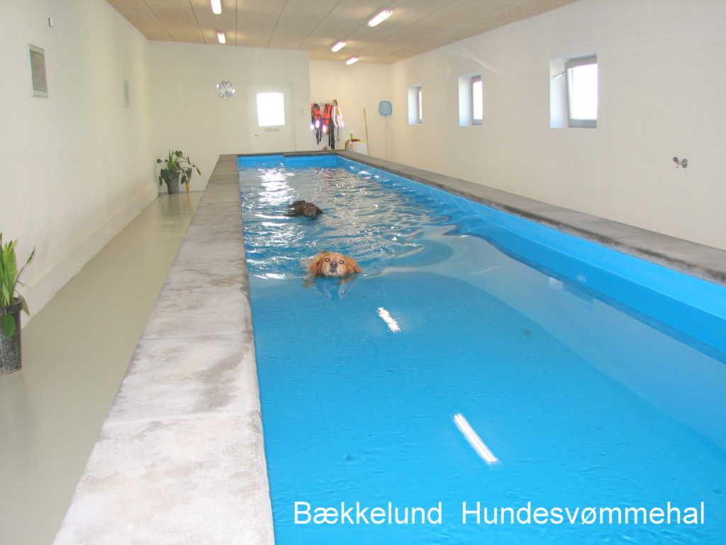 Hundesvømmehal